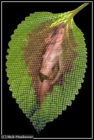 Missing Image: i_0034.jpg - LEAF-WOMAN