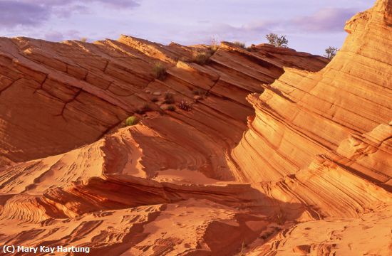 Missing Image: i_0036.jpg - Sandstone-Layers