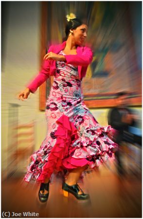 Missing Image: i_0001.jpg - Flamenco Dancer