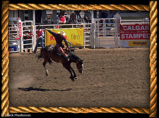 Missing Image: i_0038.jpg - Bronco Rider