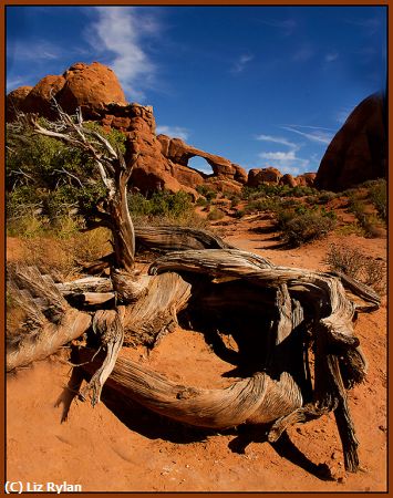 Missing Image: i_0033.jpg - SKYLINE ARCH