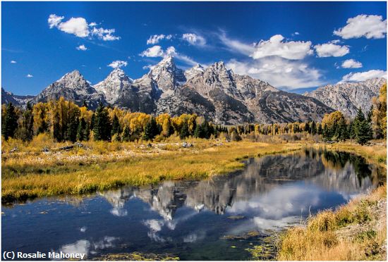 Missing Image: i_0003.jpg - Schwabacher Landing