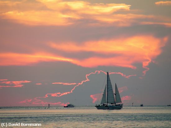 Missing Image: i_0018.jpg - Causeway sunset