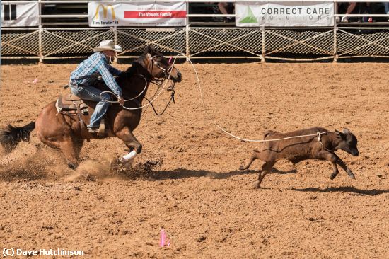 Missing Image: i_0006.jpg - Ropin'