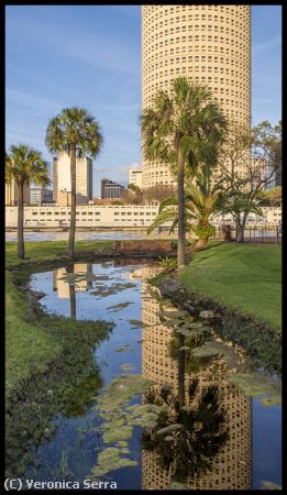 Missing Image: i_0015.jpg - The Beercan Building-A1C