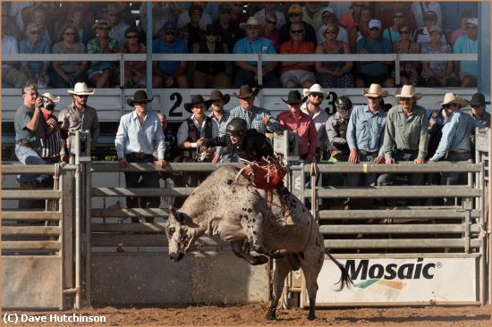 Missing Image: i_0021.jpg - Bull Riding