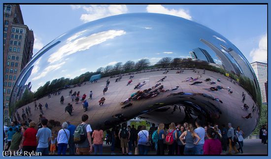 Missing Image: i_0013.jpg - THE-CHICAGO-BEAN