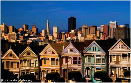 Missing Image: i_0023.jpg - Painted Ladies Painting