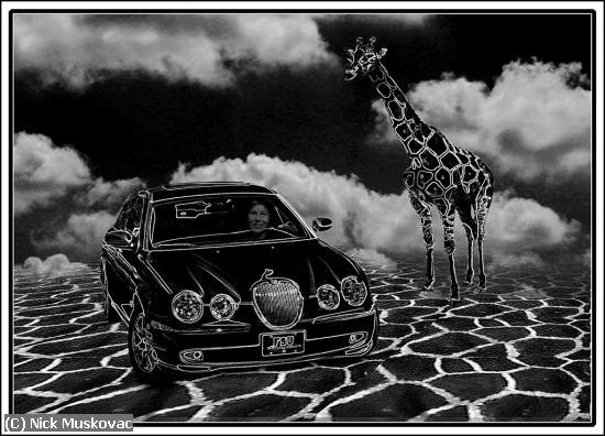 Missing Image: i_0025.jpg - Giraffe-and-JAG