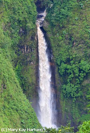 Missing Image: i_0027.jpg - La Paz Waterfall Gardens