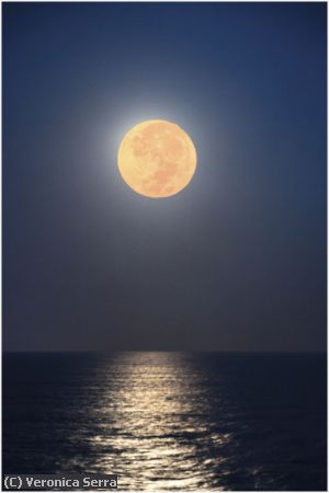 Missing Image: i_0006.jpg - Supermoon Setting Over Cabo