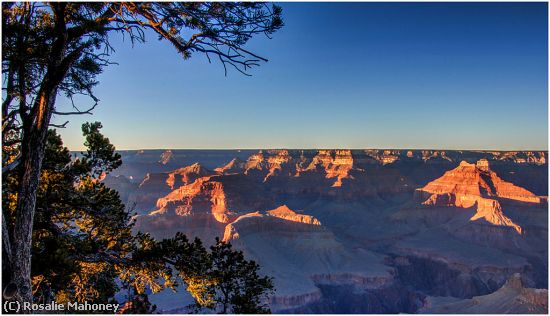 Missing Image: i_0018.jpg - Golden Light at the Grand Canyon