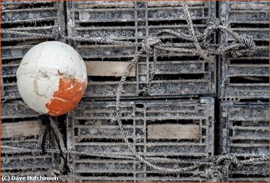 Missing Image: i_0015.jpg - Crab Traps