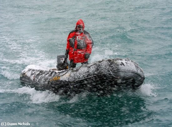 Missing Image: i_0041.jpg - Scout Boat