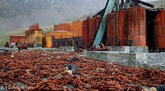 Missing Image: i_0035.jpg - Old Whaling Station