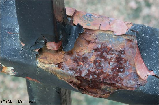 Missing Image: i_0040.jpg - Rust on the Gate