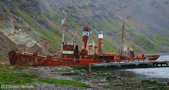 Missing Image: i_0049.jpg - Abandoned Whaler