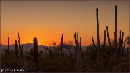 Missing Image: i_0027.jpg - Desert Sunset