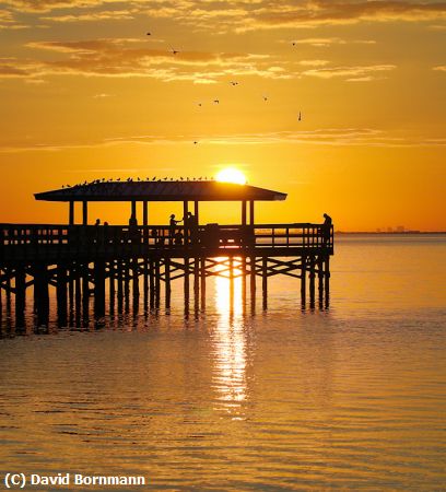 Missing Image: i_0030.jpg - Safety Harbor Sunrise