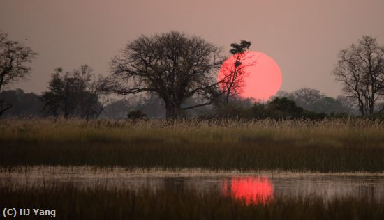 Missing Image: i_0034.jpg - Africa Sunset