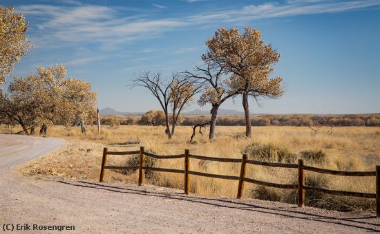 Missing Image: i_0006.jpg - Road-to-the-North-Bosque--9004