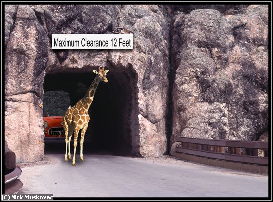 Missing Image: i_0015.jpg - Giraffe-in-tunnel