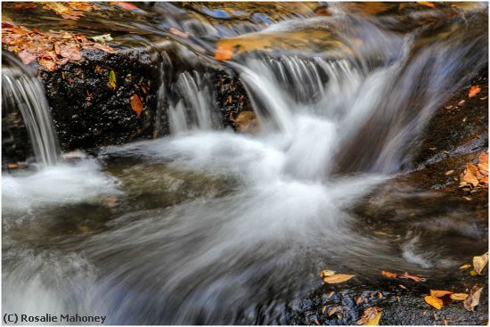 Missing Image: i_0017.jpg - Falls and Golden Leaves