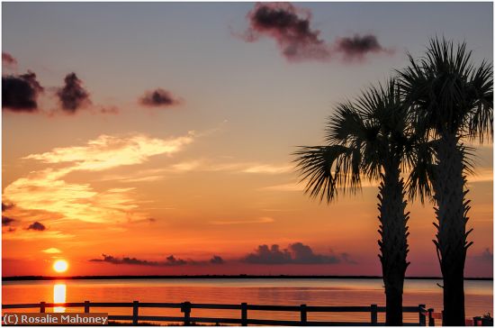 Missing Image: i_0019.jpg - Sunrise and Palms