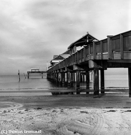 Missing Image: i_0059.jpg - Pier 60 on Film