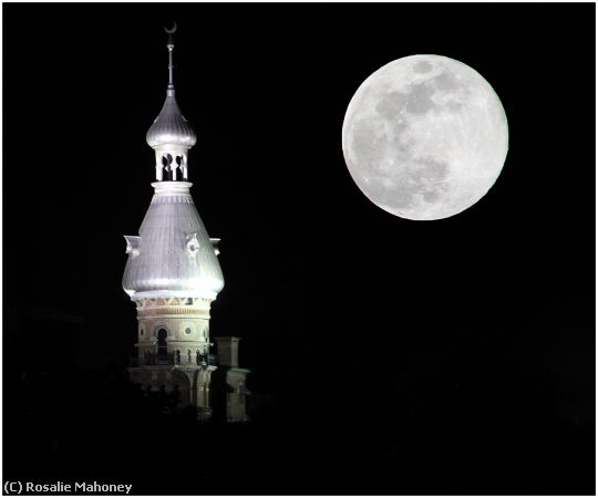 Missing Image: i_0037.jpg - Moon Over Tampa