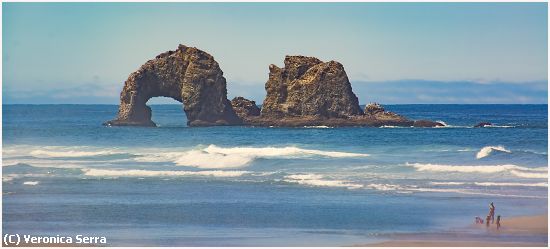 Missing Image: i_0022.jpg - Cannon Beach