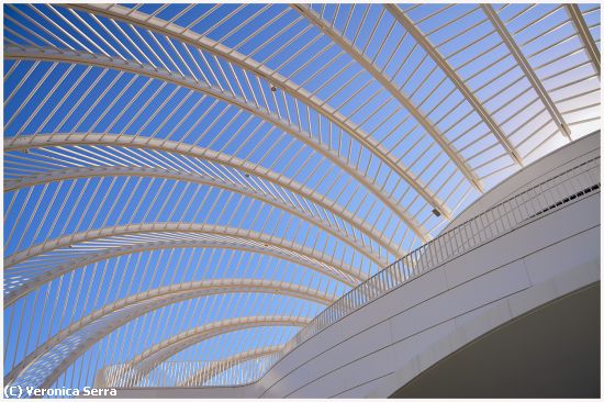 Missing Image: i_0035.jpg - Florida Polytechnic