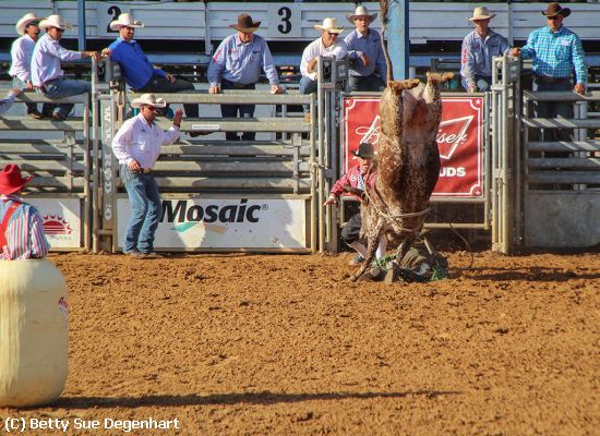 Missing Image: i_0004.jpg - Close-Call-Arcadia-Rodeo