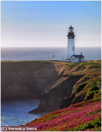 Missing Image: i_0020.jpg - Yaquina Head Lighthouse