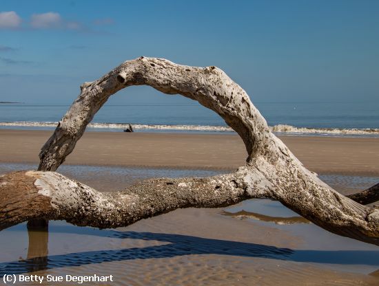 Missing Image: i_0022.jpg - View Thru The Driftwood