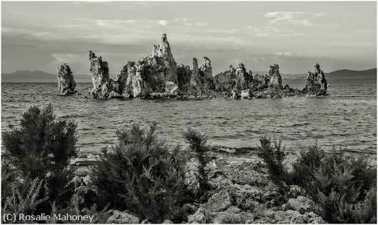 Missing Image: i_0059.jpg - Mono Lake