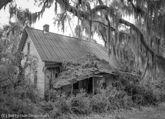 Missing Image: i_0061.jpg - My-Old-Homestead