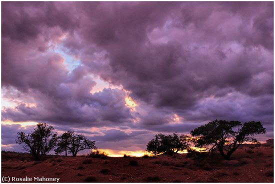 Missing Image: i_0016.jpg - Afterglow at Capitol Reef