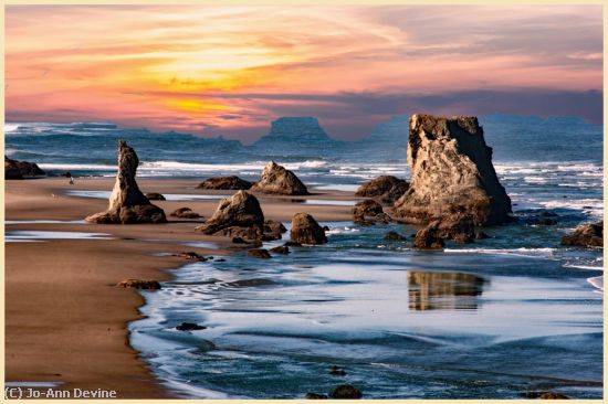 Missing Image: i_0036.jpg - Bandon Tide Pool