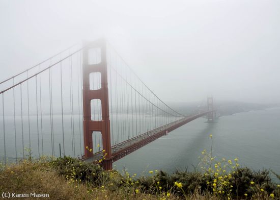 Missing Image: i_0049.jpg - GoldenGate