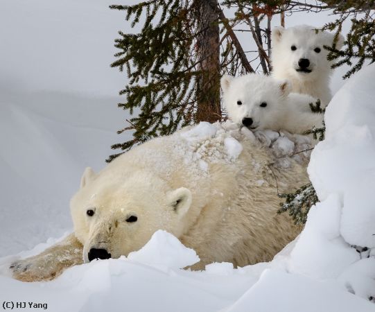 Missing Image: i_0007.jpg - Happy Family