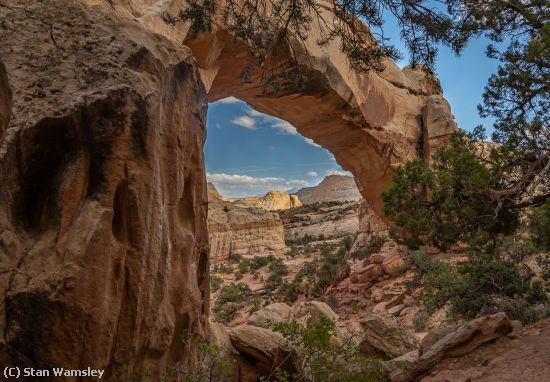 Missing Image: i_0012.jpg - Arch View, Canyon Reef