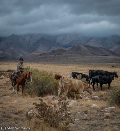 Missing Image: i_0016.jpg - Real Cowboy,UT