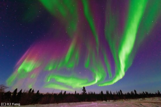 Missing Image: i_0027.jpg - Northern Light