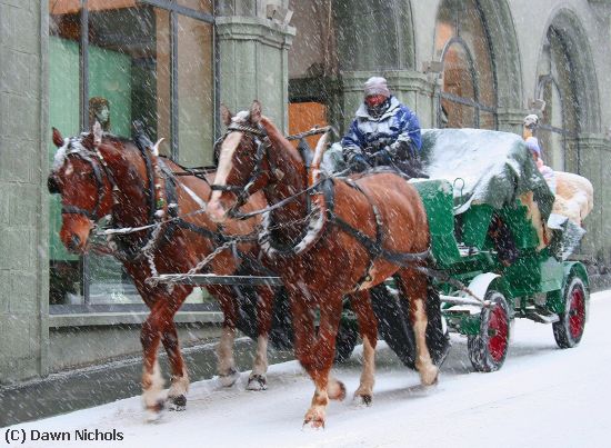 Missing Image: i_0002.jpg - Winter Carriage,  St Moritz