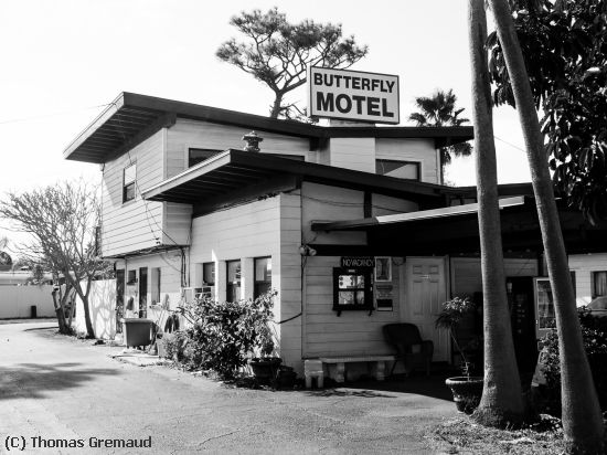 Missing Image: i_0057.jpg - Butterfly Motel