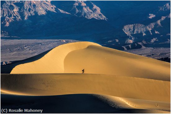 Missing Image: i_0022.jpg - Walking Across the Dune