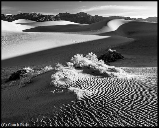 Missing Image: i_0056.jpg - MESQUITE FLATS