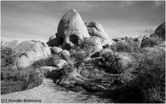 Missing Image: i_0065.jpg - Skull Rock