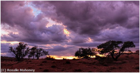 Missing Image: i_0007.jpg - Afterglow at Capitol Reef